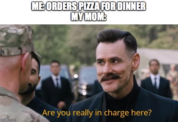 Are you really in charge here? | ME: ORDERS PIZZA FOR DINNER
MY MOM: | image tagged in are you really in charge here | made w/ Imgflip meme maker