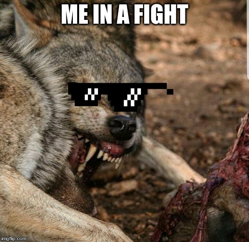 Savagery | ME IN A FIGHT | image tagged in savagery | made w/ Imgflip meme maker