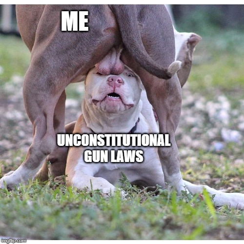 All gun laws are infringements | ME; UNCONSTITUTIONAL GUN LAWS | image tagged in 2nd amendment,guns,funny memes,constitution,dank memes | made w/ Imgflip meme maker