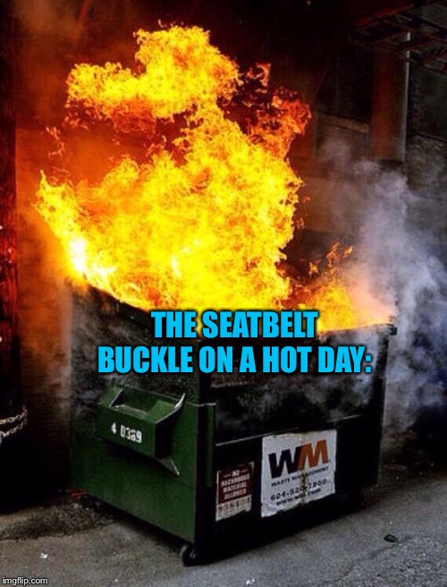 Dumpster Fire |  THE SEATBELT BUCKLE ON A HOT DAY: | image tagged in dumpster fire | made w/ Imgflip meme maker