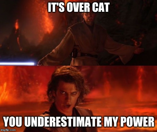 It's Over, Anakin, I Have the High Ground | IT'S OVER CAT; YOU UNDERESTIMATE MY POWER | image tagged in it's over anakin i have the high ground | made w/ Imgflip meme maker