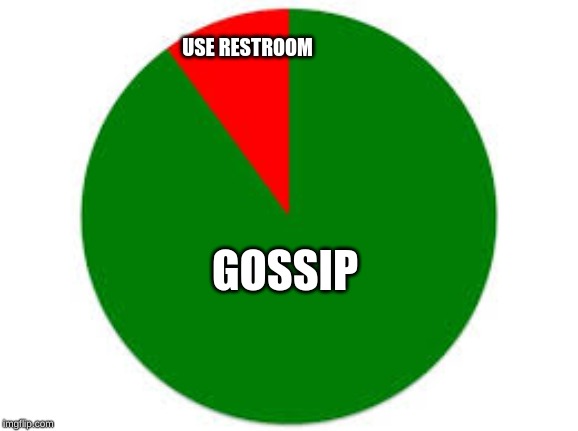 pie chart | USE RESTROOM GOSSIP | image tagged in pie chart | made w/ Imgflip meme maker