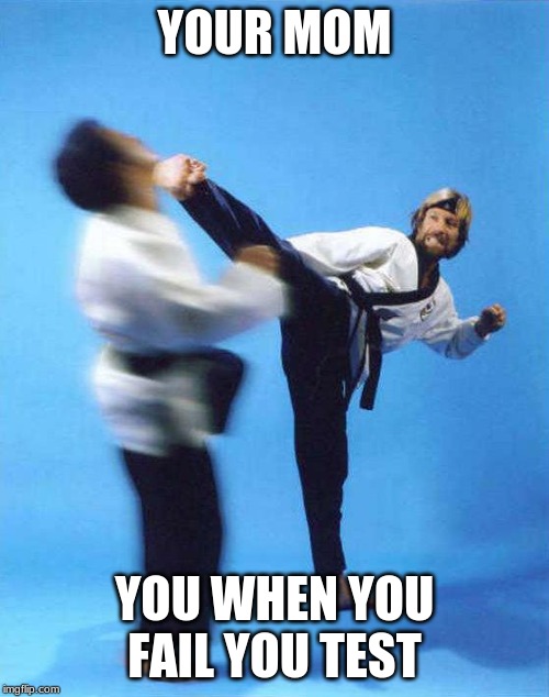 Roundhouse Kick Chuck Norris | YOUR MOM; YOU WHEN YOU FAIL YOU TEST | image tagged in roundhouse kick chuck norris | made w/ Imgflip meme maker