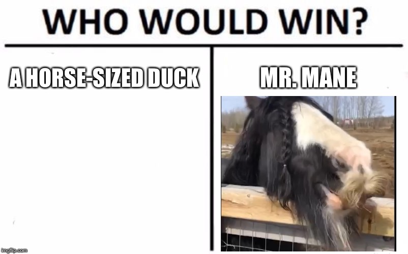 Who Would Win? | A HORSE-SIZED DUCK; MR. MANE | image tagged in memes,who would win | made w/ Imgflip meme maker