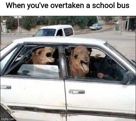 Quit Hatin Meme | When you've overtaken a school bus | image tagged in memes,quit hatin,haha,school bus | made w/ Imgflip meme maker
