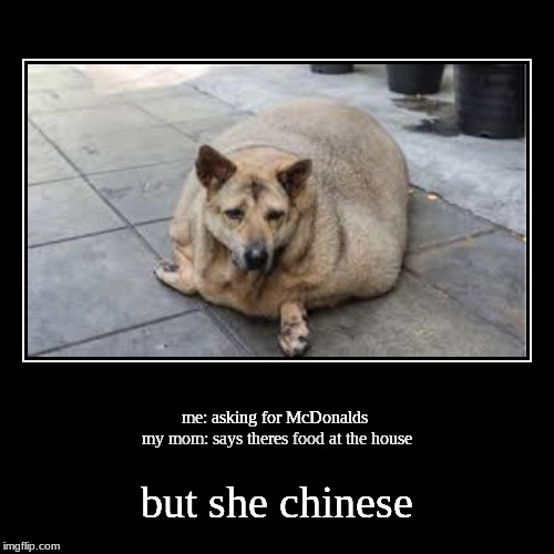 image tagged in funny,demotivationals | made w/ Imgflip demotivational maker