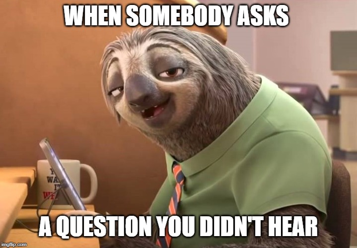 zootopia sloth | WHEN SOMEBODY ASKS; A QUESTION YOU DIDN'T HEAR | image tagged in zootopia sloth | made w/ Imgflip meme maker
