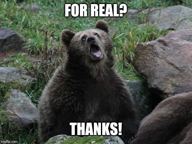 Sarcastic Bear | FOR REAL? THANKS! | image tagged in sarcastic bear | made w/ Imgflip meme maker