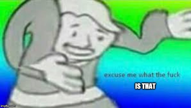 Excuse me what the fuck | IS THAT | image tagged in excuse me what the fuck | made w/ Imgflip meme maker
