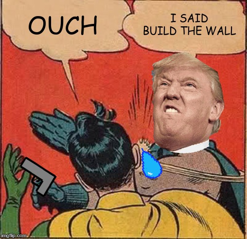 Batman Slapping Robin Meme | OUCH; I SAID BUILD THE WALL | image tagged in memes,batman slapping robin | made w/ Imgflip meme maker
