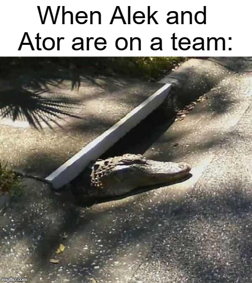 Alligatot from the sewer | When Alek and 
Ator are on a team: | image tagged in alligatot from the sewer | made w/ Imgflip meme maker