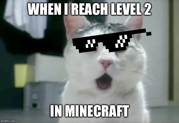 OMG Cat Meme | WHEN I REACH LEVEL 2; IN MINECRAFT | image tagged in memes,omg cat | made w/ Imgflip meme maker