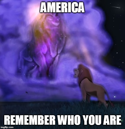 Remember Who You Are | AMERICA; REMEMBER WHO YOU ARE | image tagged in joe biden,democratic party,presidential race,presidential candidates,presidential election,lion king meme | made w/ Imgflip meme maker