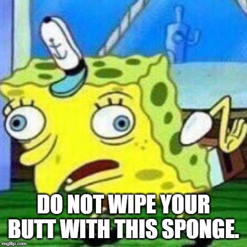triggerpaul | DO NOT WIPE YOUR BUTT WITH THIS SPONGE. | image tagged in triggerpaul | made w/ Imgflip meme maker