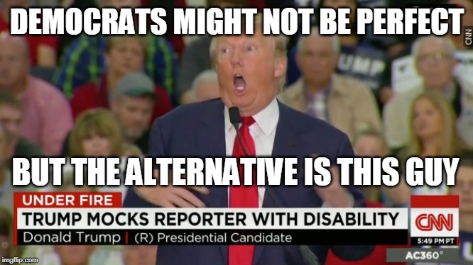 DEMOCRATS MIGHT NOT BE PERFECT; BUT THE ALTERNATIVE IS THIS GUY | image tagged in trump | made w/ Imgflip meme maker