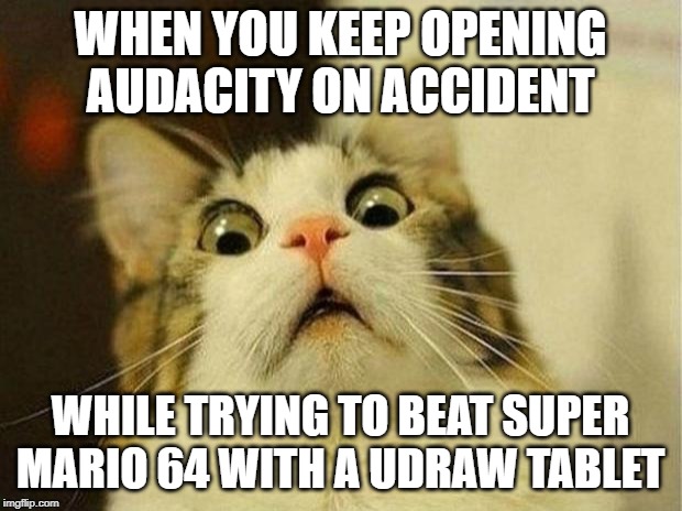 Scared Cat Meme | WHEN YOU KEEP OPENING AUDACITY ON ACCIDENT; WHILE TRYING TO BEAT SUPER MARIO 64 WITH A UDRAW TABLET | image tagged in memes,scared cat | made w/ Imgflip meme maker