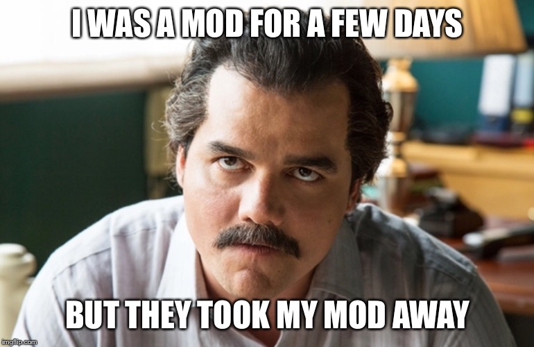 Unsettled Escobar | I WAS A MOD FOR A FEW DAYS BUT THEY TOOK MY MOD AWAY | image tagged in unsettled escobar | made w/ Imgflip meme maker