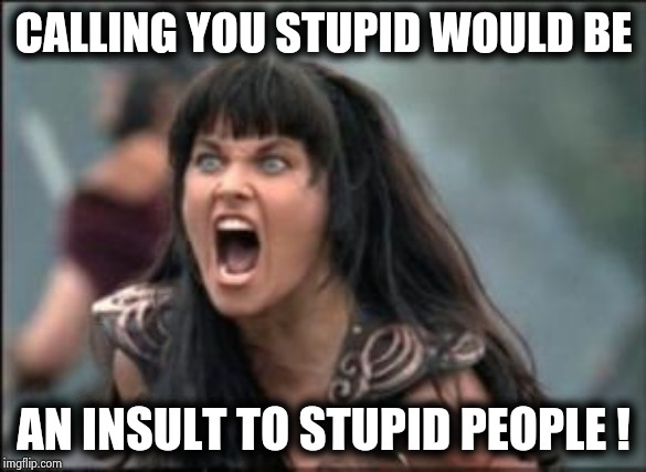 xena mad | CALLING YOU STUPID WOULD BE AN INSULT TO STUPID PEOPLE ! | image tagged in xena mad | made w/ Imgflip meme maker