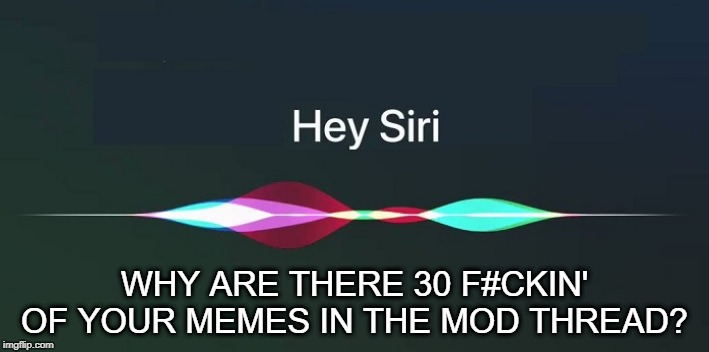Hey Siri! | WHY ARE THERE 30 F#CKIN' OF YOUR MEMES IN THE MOD THREAD? | image tagged in hey siri | made w/ Imgflip meme maker