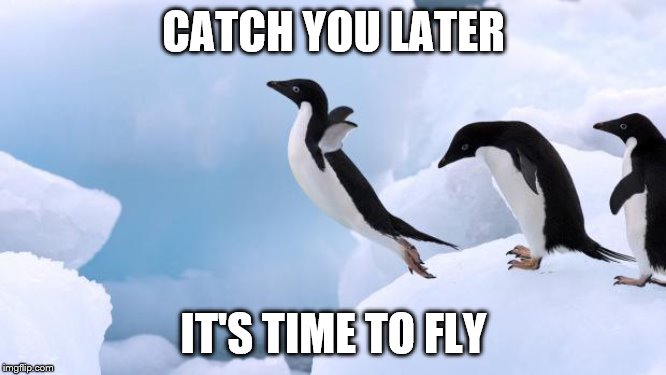 penguin fly | CATCH YOU LATER; IT'S TIME TO FLY | image tagged in flying penguin | made w/ Imgflip meme maker
