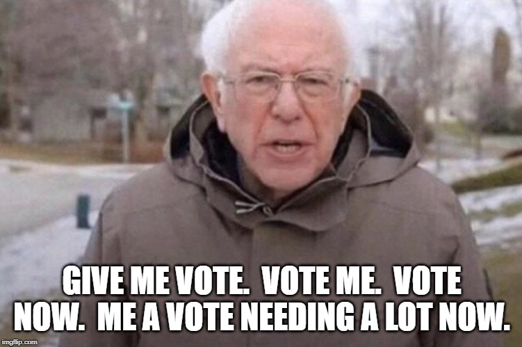 I am once again asking | GIVE ME VOTE.  VOTE ME.  VOTE NOW.  ME A VOTE NEEDING A LOT NOW. | image tagged in i am once again asking | made w/ Imgflip meme maker