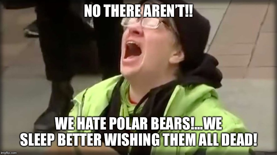 Apparently the polar bear population is doing just fine..don't tell the SJW's... | NO THERE AREN’T!! WE HATE POLAR BEARS!...WE SLEEP BETTER WISHING THEM ALL DEAD! | image tagged in trump sjw no | made w/ Imgflip meme maker