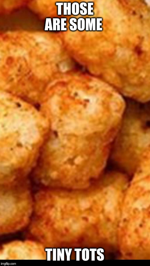 Tater tots | THOSE ARE SOME TINY TOTS | image tagged in tater tots | made w/ Imgflip meme maker