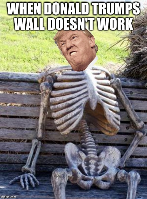 Waiting Skeleton Meme | WHEN DONALD TRUMPS WALL DOESN'T WORK | image tagged in memes,waiting skeleton | made w/ Imgflip meme maker