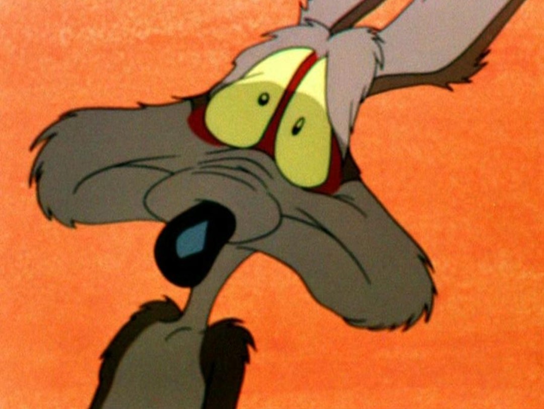 Wile E Coyote oh no Blank Meme Template