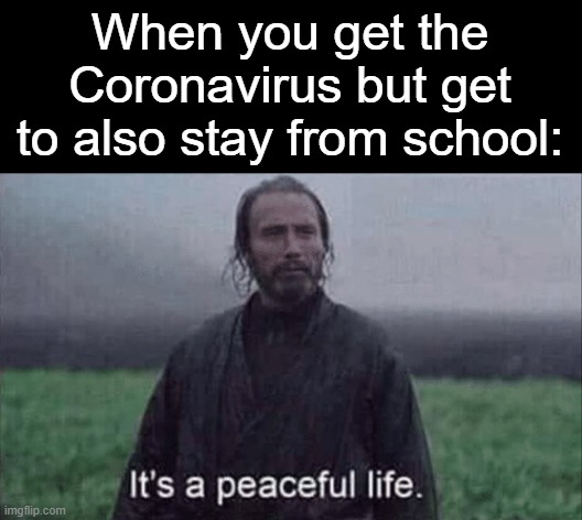 Hopefully it will be a peaceful death. | When you get the Coronavirus but get to also stay from school: | image tagged in its a peaceful life,coronavirus,corona,school | made w/ Imgflip meme maker