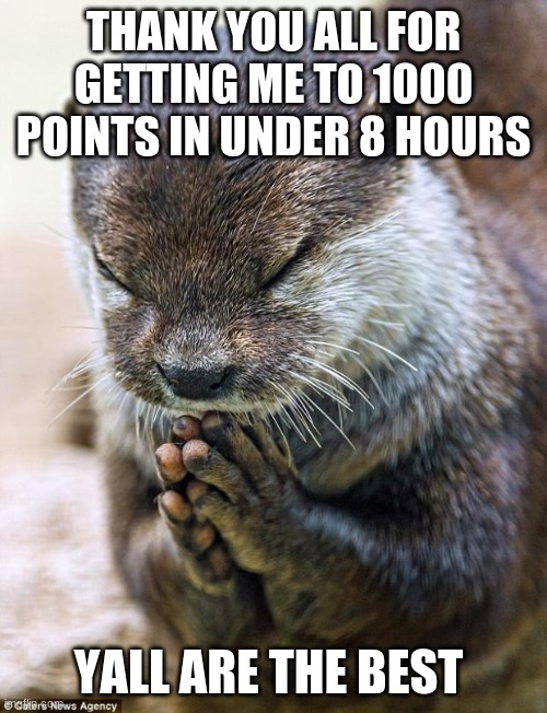 Thank you Lord Otter | THANK YOU ALL FOR GETTING ME TO 1000 POINTS IN UNDER 8 HOURS; YALL ARE THE BEST | image tagged in thank you lord otter | made w/ Imgflip meme maker