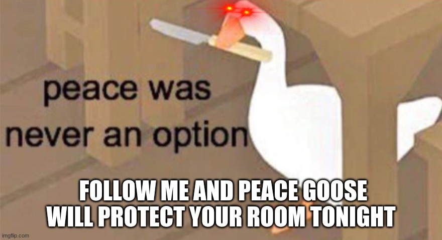 Untitled Goose Peace Was Never an Option | FOLLOW ME AND PEACE GOOSE WILL PROTECT YOUR ROOM TONIGHT | image tagged in untitled goose peace was never an option | made w/ Imgflip meme maker