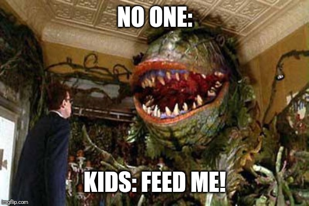 little shop of horrors | NO ONE:; KIDS: FEED ME! | image tagged in little shop of horrors | made w/ Imgflip meme maker
