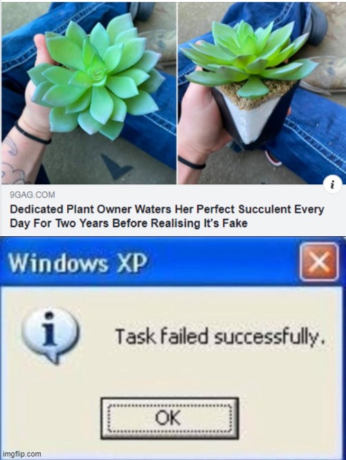 Well, she tried. | image tagged in task failed successfully,i tried,plants,faceplant,fake,oh wow are you actually reading these tags | made w/ Imgflip meme maker