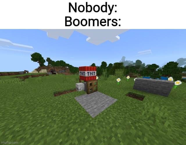 Short TNT Yeeter | Nobody:
Boomers: | image tagged in short tnt yeeter | made w/ Imgflip meme maker
