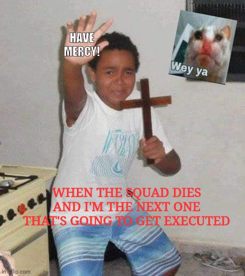 Have Mercy | HAVE MERCY! WHEN THE SQUAD DIES AND I'M THE NEXT ONE THAT'S GOING TO GET EXECUTED | image tagged in game | made w/ Imgflip meme maker