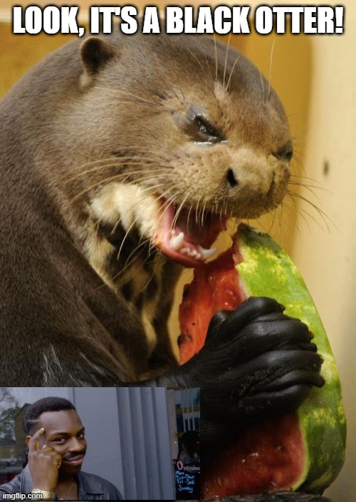 That's Racist | LOOK, IT'S A BLACK OTTER! | image tagged in memes,self loathing otter | made w/ Imgflip meme maker