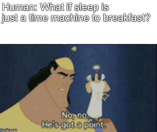 no no hes got a point | Human: What if sleep is just a time machine to breakfast? | image tagged in no no hes got a point,memes | made w/ Imgflip meme maker