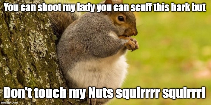 WoodLand My Nuts | You can shoot my lady you can scuff this bark but; Don't touch my Nuts squirrrr squirrrl | image tagged in funny,meme,trends | made w/ Imgflip meme maker