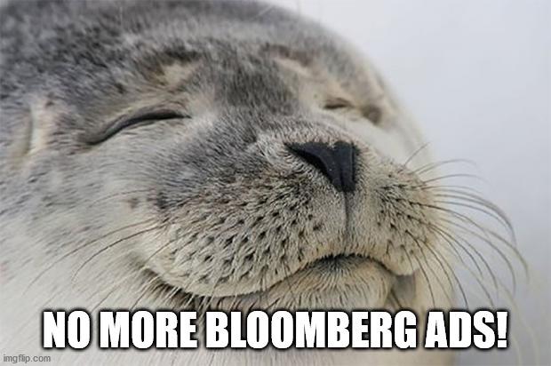 Satisfied Seal | NO MORE BLOOMBERG ADS! | image tagged in memes,satisfied seal | made w/ Imgflip meme maker