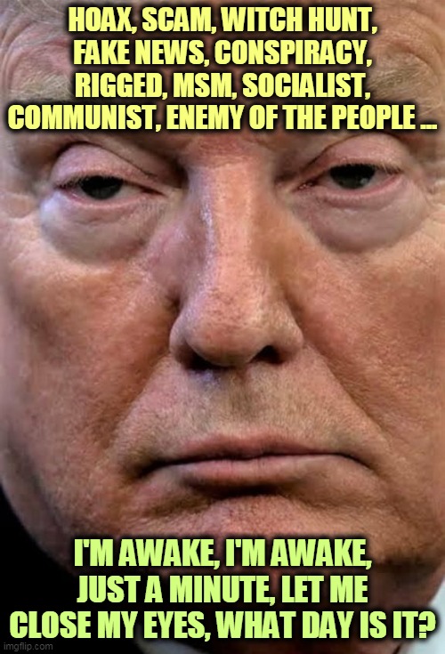 Pretty soon he'll be down to six words and occasional grunts. | HOAX, SCAM, WITCH HUNT, FAKE NEWS, CONSPIRACY, RIGGED, MSM, SOCIALIST, COMMUNIST, ENEMY OF THE PEOPLE ... I'M AWAKE, I'M AWAKE, JUST A MINUTE, LET ME CLOSE MY EYES, WHAT DAY IS IT? | image tagged in trump woozy dilated,trump,cliche,vocabulary,dementia | made w/ Imgflip meme maker
