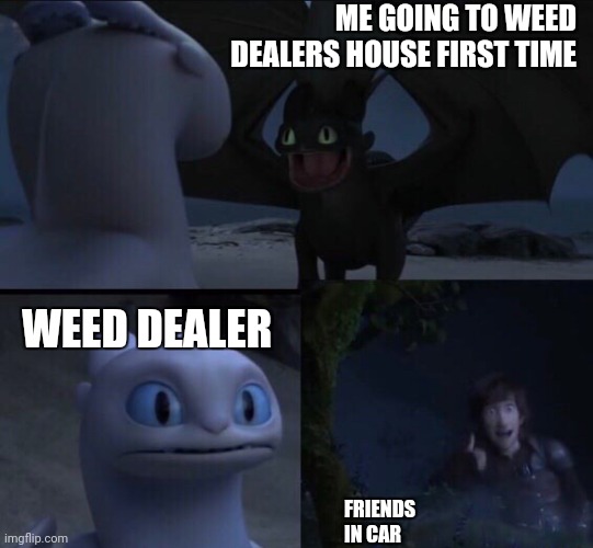 How to train your dragon 3 | ME GOING TO WEED DEALERS HOUSE FIRST TIME; WEED DEALER; FRIENDS IN CAR | image tagged in how to train your dragon 3 | made w/ Imgflip meme maker