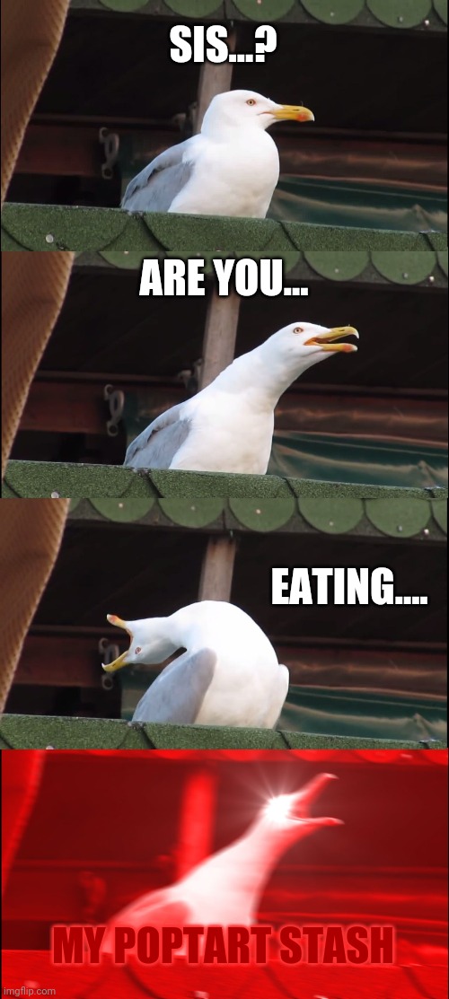 Inhaling Seagull | SIS...? ARE YOU... EATING.... MY POPTART STASH | image tagged in memes,inhaling seagull | made w/ Imgflip meme maker