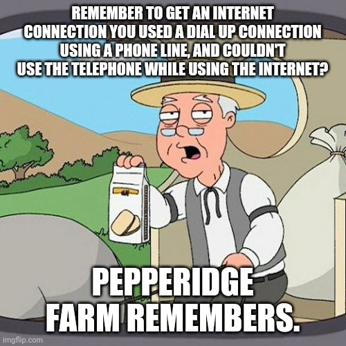 Pepperidge Farm Remembers Meme | REMEMBER TO GET AN INTERNET CONNECTION YOU USED A DIAL UP CONNECTION USING A PHONE LINE, AND COULDN'T USE THE TELEPHONE WHILE USING THE INTERNET? PEPPERIDGE FARM REMEMBERS. | image tagged in memes,pepperidge farm remembers | made w/ Imgflip meme maker