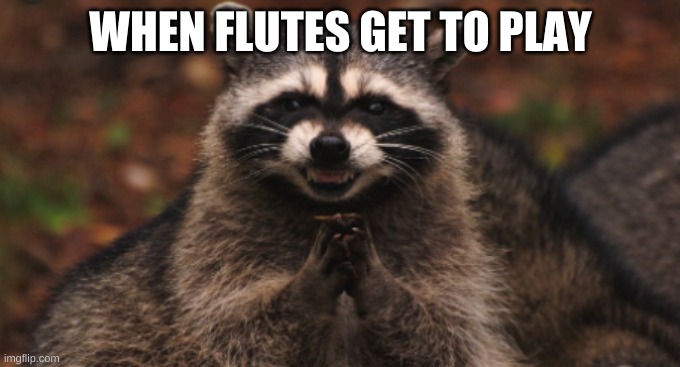 evil racoon | WHEN FLUTES GET TO PLAY | image tagged in evil racoon | made w/ Imgflip meme maker