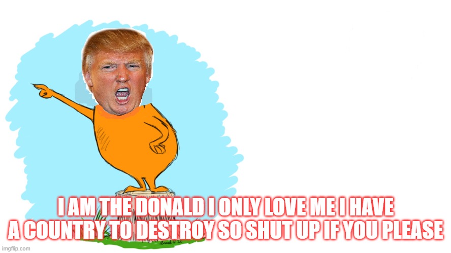 I AM THE DONALD I ONLY LOVE ME I HAVE A COUNTRY TO DESTROY SO SHUT UP IF YOU PLEASE | image tagged in the lorax | made w/ Imgflip meme maker