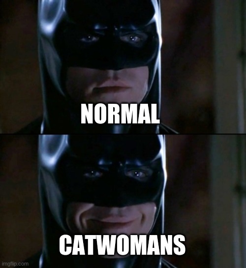 Batman Smiles Meme | NORMAL CATWOMANS | image tagged in memes,batman smiles | made w/ Imgflip meme maker