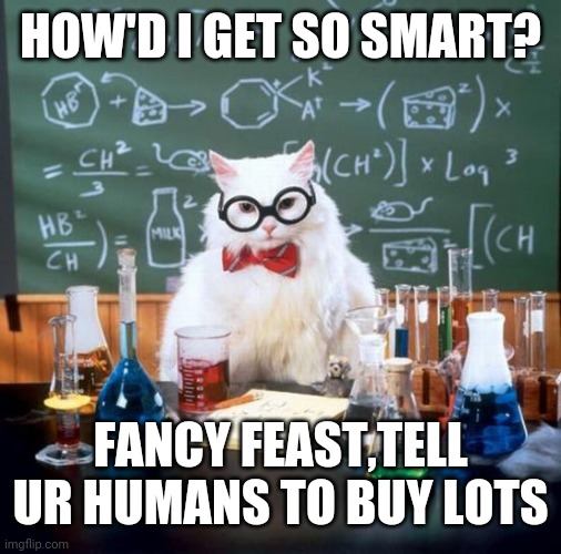 Chemistry Cat | HOW'D I GET SO SMART? FANCY FEAST,TELL UR HUMANS TO BUY LOTS | image tagged in memes,chemistry cat | made w/ Imgflip meme maker