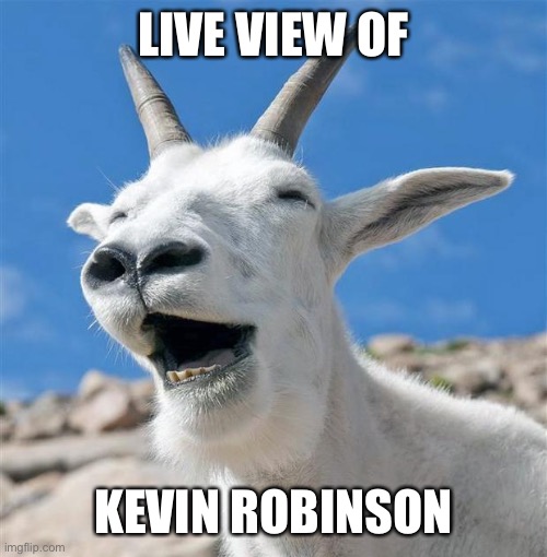 [Image: 3rglex.jpg]