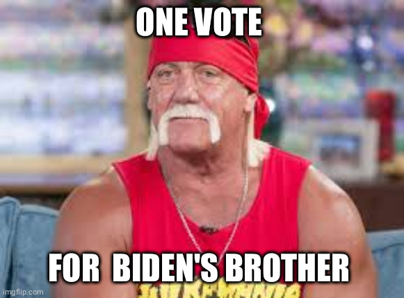 hulk hogan 3 | ONE VOTE; FOR  BIDEN'S BROTHER | image tagged in hulk hogan 3 | made w/ Imgflip meme maker